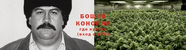 COCAINE Новозыбков