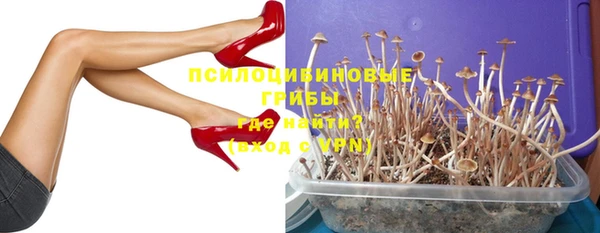 ГАЛЛЮЦИНОГЕННЫЕ ГРИБЫ Навашино